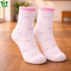 Cute Bunny Socks